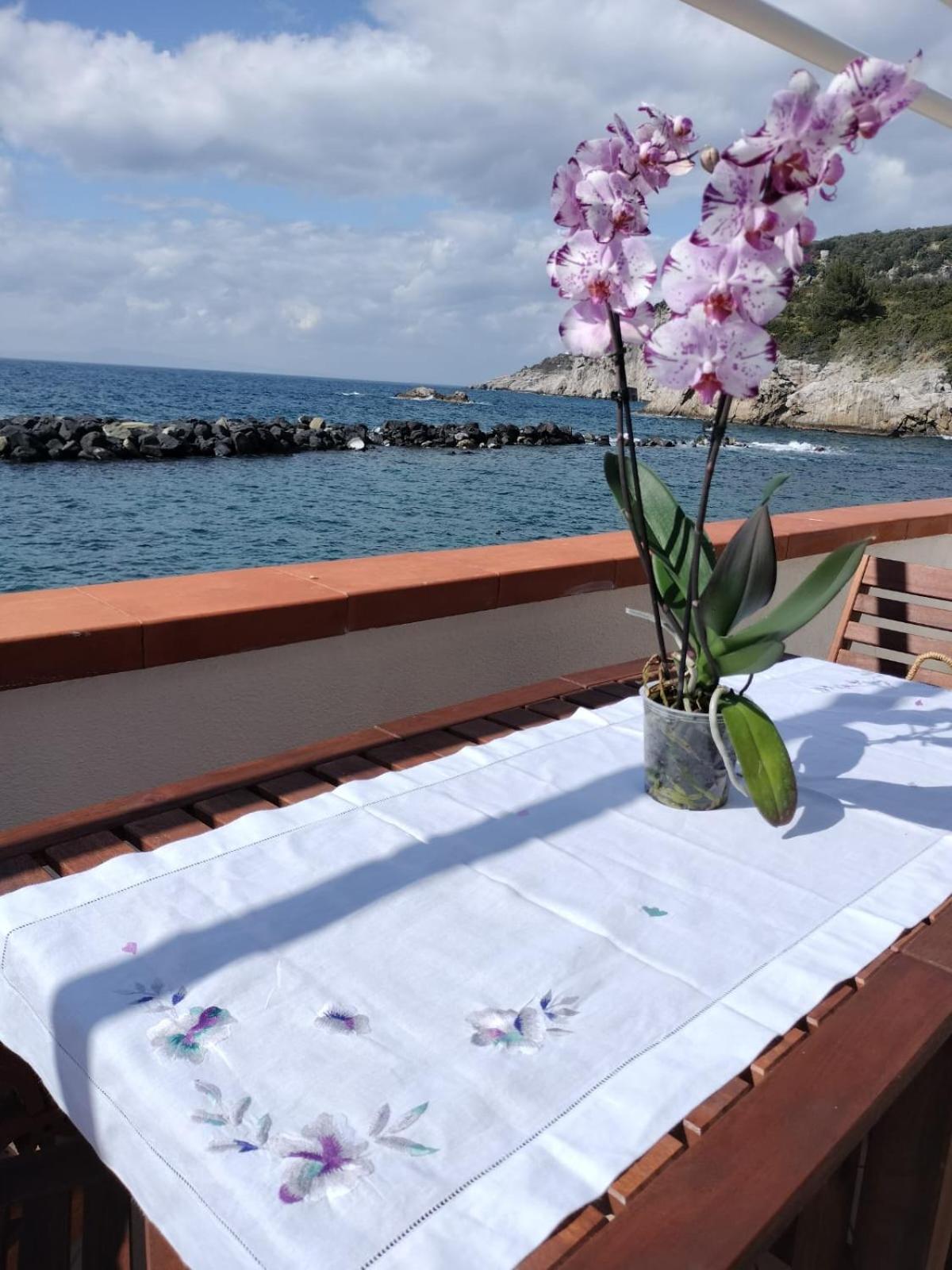 Casa Vacanza Verde Smeraldo- Massa Lubrense Ngoại thất bức ảnh